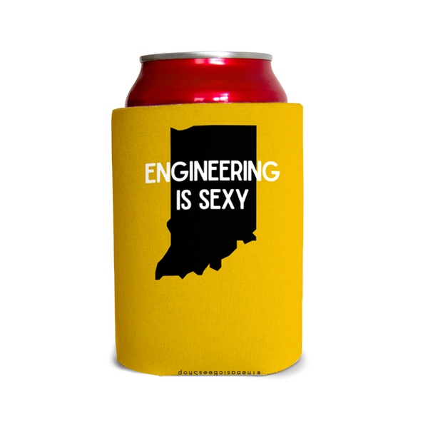 Engineering is sexy/Beat IU 1 Can Cooler